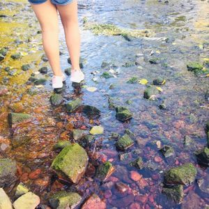 Meet your Posher, Ivy